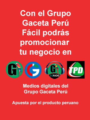 Publi banner grupo gaceta peru rojo 300x400 dede5309