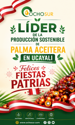 Lider2 973fae75