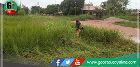 Áreas verdes y colegios son atendidos por municipalidad yarinense