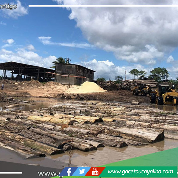 Fiscalía Ambiental dispuso incautación de madera de presunta procedencia ilegal en Ucayali