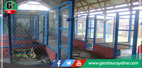 Centro canino municipal continúa con noble labor de recuperar la salud de animales en condición de abandono 