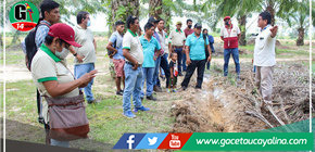 GOREU promueve pasantía para mejorar productividad de palmicultores