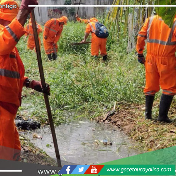 Limpieza de caño natural en I.E.I. 377-B en Yarinacocha