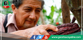 Gobierno Regional de San Maartín ejecutó proyectos productivos por más de S/ 40 mlls en 2021