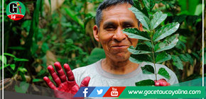 Conoce las cinco nuevas áreas de conservación privada reconocidas en Cusco y Madre de Dios