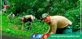 Plantan medio millón de árboles nativos en santuario de Machu Picchu