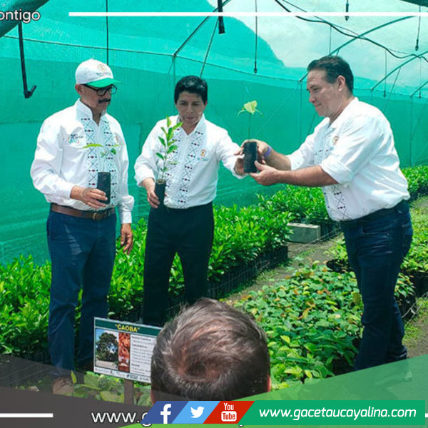 Gobernador Electo de Ucayali Manuel Gambini coordina gestiones con presidente Castillo en Moyobamba