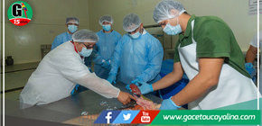 Congresista Vergara, solicita informe al ITP Cite pesquero Amazónico y al ITP Citeforestal Pucallpa