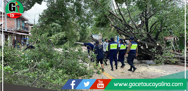 Más de 50 familias afectadas por fuertes vientos e intensas lluvias en Pucallpa