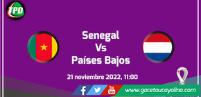 Senegal Vs Países Bajos chocan por la primera fecha del grupo A de Qatar 2022