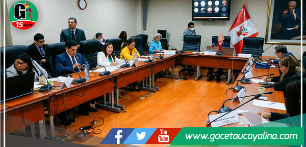 Congresista ucayalina Francis Paredes expone Proyecto de Ley en favor de los trabajadores