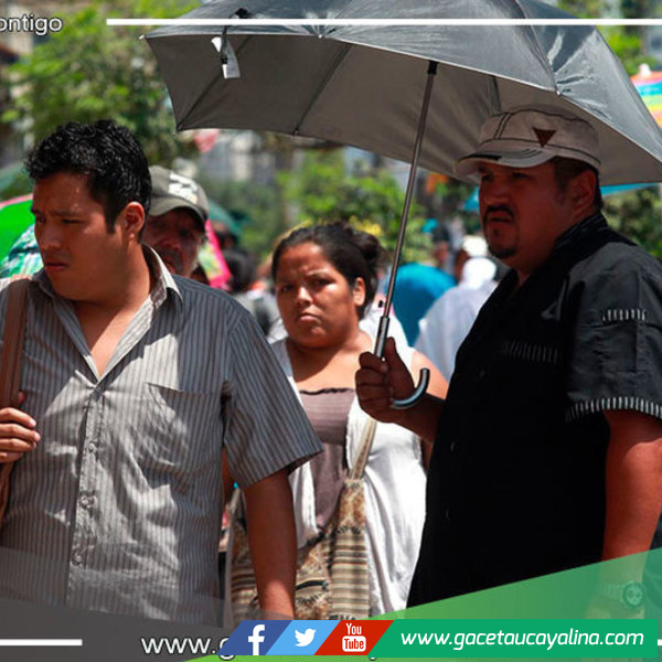 Temperatura diurna en la Selva superaría los 36 grados