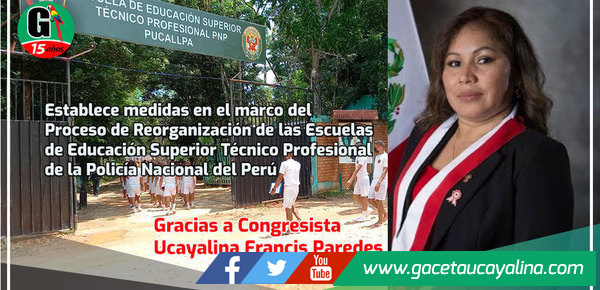 Establece medidas en el marco del Proceso de Reorganización de las Escuelas de Educación Superior Técnico Profesional de la Policía Nacional del Perú