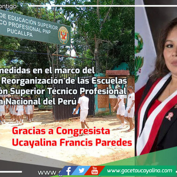 Establece medidas en el marco del Proceso de Reorganización de las Escuelas de Educación Superior Técnico Profesional de la Policía Nacional del Perú