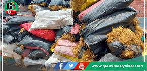 Decomisa 2 694 kilos de musgo de procedencia ilegal que iban a ser usados para decorar nacimientos en Junín