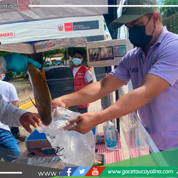 Ministerio de la Producción y Municipalidad realizan campaña “Mi pescadería, Tu Pescado del Día”