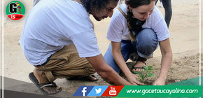Yarinenses salieron a plantar 200 árboles de Tahuarí