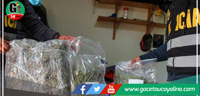 Policía descubre laboratorio de marihuana en el Valle Sagrado de los Incas