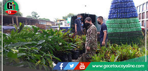 Municipalidad de Yarinacocha dona 100 plantas ornamentales a la FAP