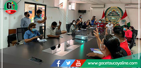 Aprueban plan de trabajo para la prevención y erradicación del trabajo infantil en Ucayali