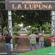 Árbol de la Lupuna en Yarinacocha se encuentra delimitado