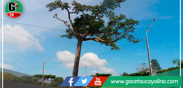 Municipalidad de Yarinacocha envia Comunicado sobre Parque la Lupuna