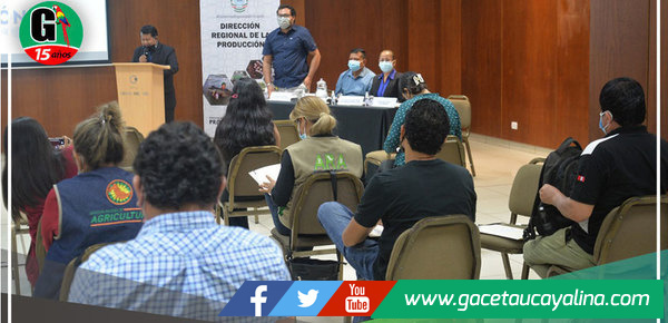 Dirección Regional de la Producción impulsa  formalización de productores de carbón vegetal 