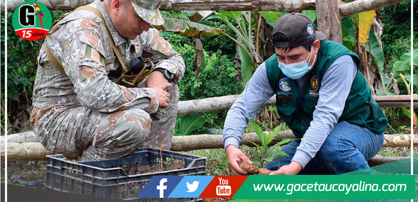 Instalan biohuertos en zona fronteriza de cantagallo en Masisea