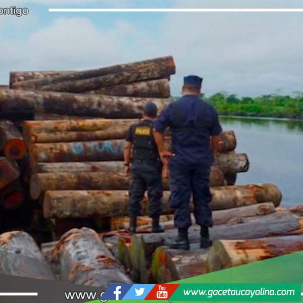 Desarticulan banda criminal en Loreto y Ucayali integrantes de “Los duros de la Amazonía”