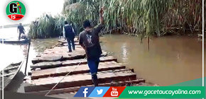 C.N. junto a su comité de vigilancia de Atalaya, recuperan madera de cedro extraída ilegalmente de sus territorios