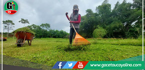 Los Parques y jardines de Yarinacocha siempre atendidos por Municipalidad