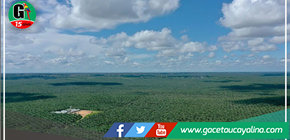 Tribunal Constitucional declaró improcedente acción legal contra empresa palmicultora Ocho Sur