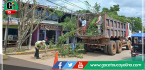 Embellecimiento de áreas verdes en Yarinacocha