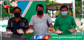 Piscicultores promovidos por Devida comercializaron 2600 kilos de pescado amazónicos por Semana Santa