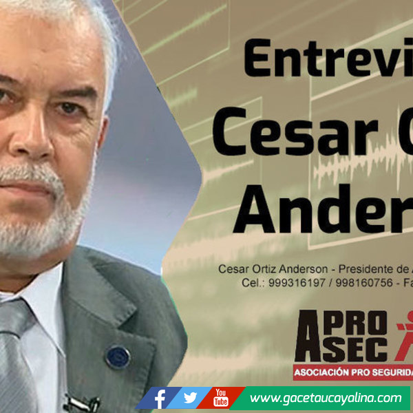 Cesar Ortiz Anderson: "Pedro Castillo Terrones es un presidente experto en asuntos sin importancia para el País"