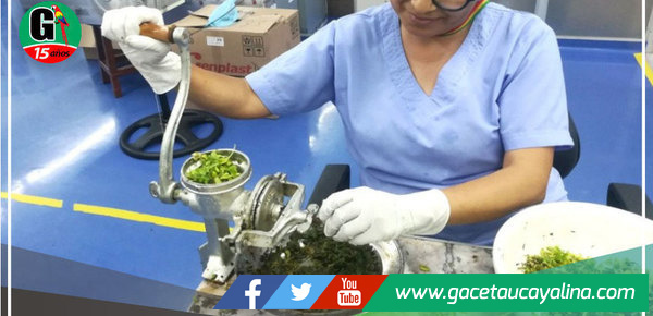 Essalud combatirá al dengue con medicamentos y repelentes de aceite 