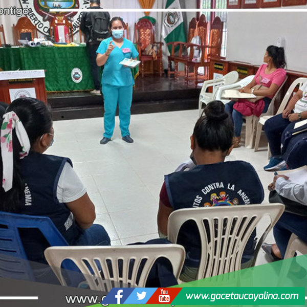 Capacitan a actores sociales de Yarinacocha para que aprenden a brindar información a las madres