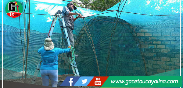 Vivero municipal de Yarinacocha se trasladará detrás del Campo Ferial