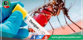 Más de 5 fallecidos por Dengue se registraron en la Región Loreto 