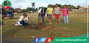 Municipalidad de Yarinacocha reforesta con plantones de Tahuarí en tres parques en el distrito