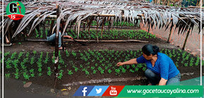 Madre loretana promueve la siembra de hortalizas como emprendimiento femenino