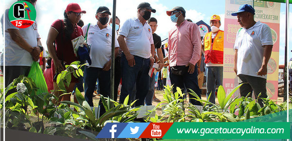 Más de 2 mil atenciones registró Caravana del Progreso en A.H. Maldonado Begazo
