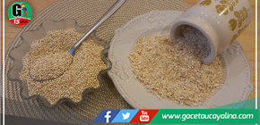 Qali Warma: Hojuelas de avena con quinua fortalecen la dieta escolar