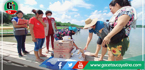 En Yarinacocha se inició la distribución de productos lácteos del PVL