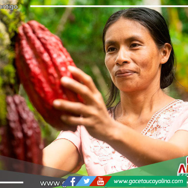 Expo Amazónica- chachapoyas 2022 se inaugura este jueves 18 de agosto para recibir a 25 mil visitantes