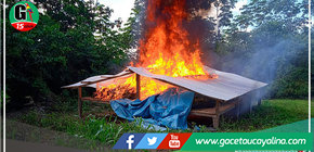 Incineran más de 7 toneladas de hoja de coca y destruyen 1 laboratorio rústico de elaboración de Droga