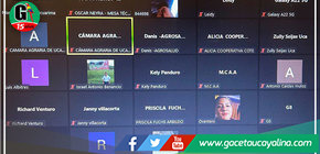 Ing. Celia Prado participo con gran éxito en el I Foro Virtual Agrario ucayalino