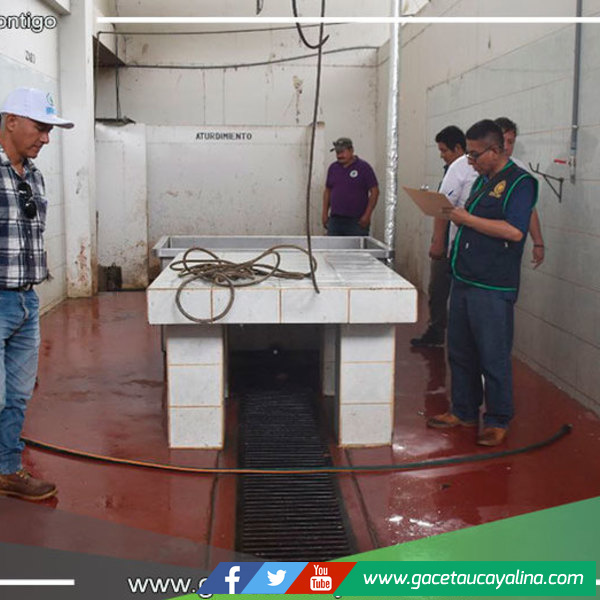 Municipalidad provincial de Atalaya realiza inspección a los ambientes del Camal Municipal 