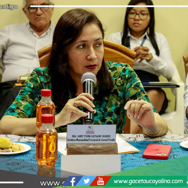 Alcaldesa Janet Castagne anuncia acciones contra la delincuencia  