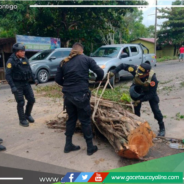 Informan que no hubo uso de la fuerza en desbloqueos de la Carretera Central y la vía Federico Basadre